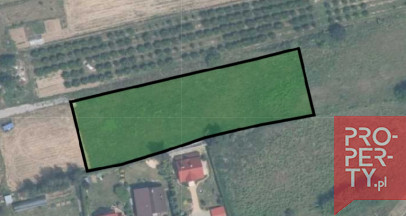 Działka Sprzedaż Zerwana