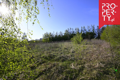 Działka Sprzedaż Rawałowice