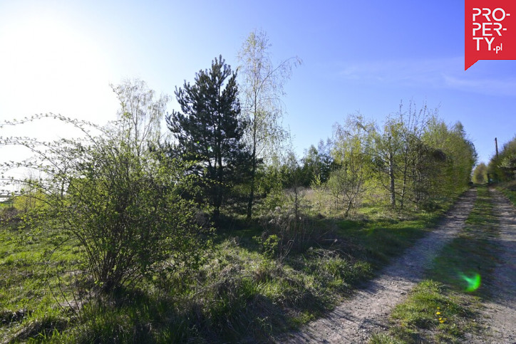 Działka Sprzedaż Rawałowice 16
